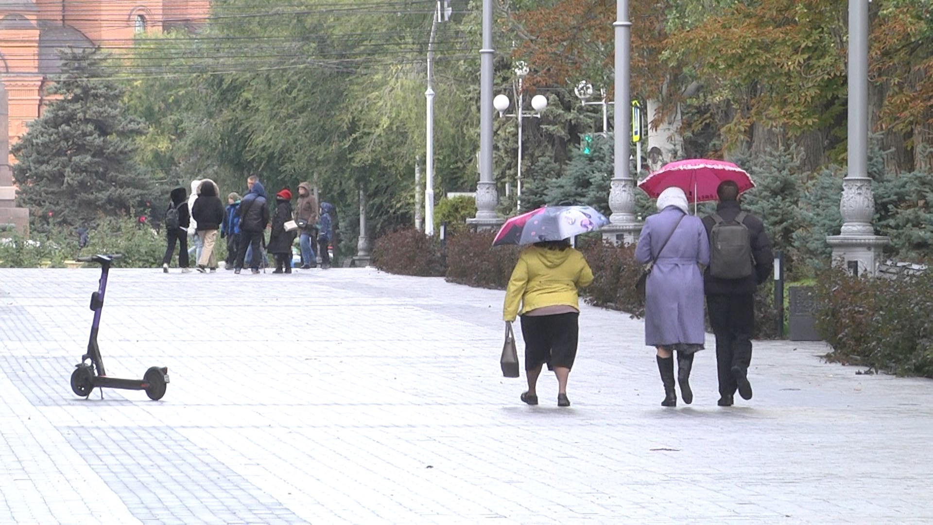 26 ноября в Волгограде снова дождливо